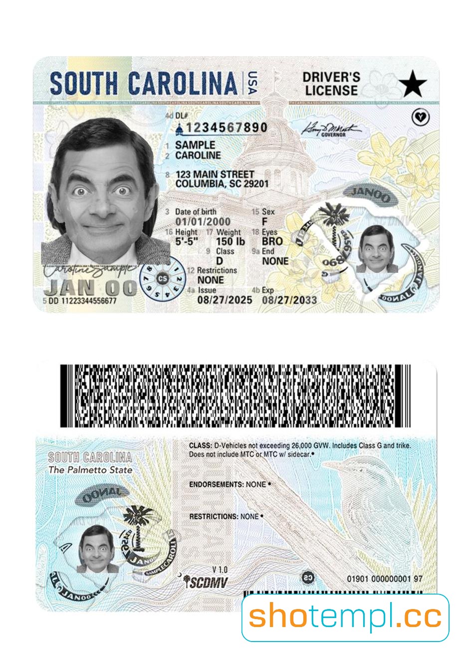 South Carolina Driver License PSD Template V1